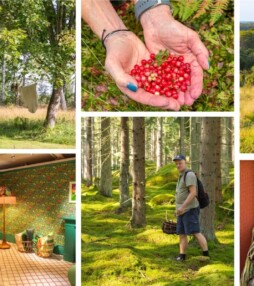 Mirakels mooi Småland