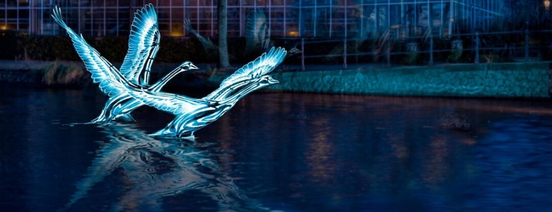 Amsterdam Light Festival