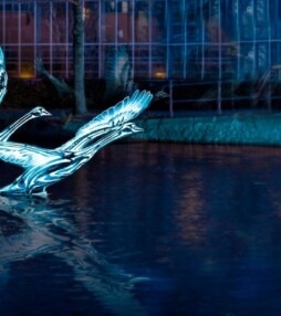 Amsterdam Light Festival