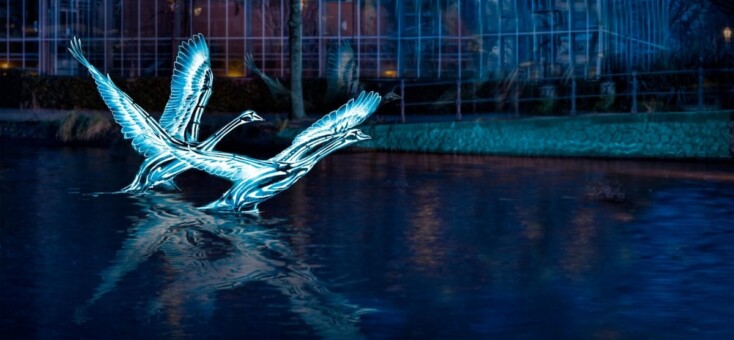 Amsterdam Light Festival