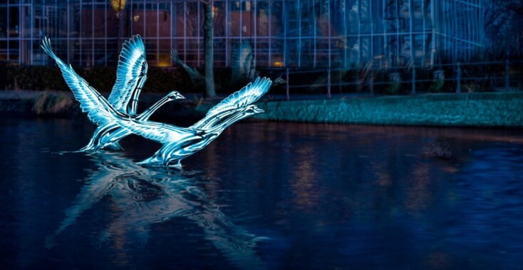 Amsterdam Light Festival