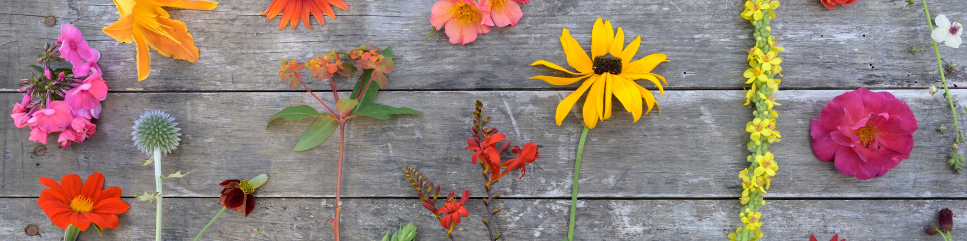 60c7a16c1776e1570934389fe040611979549866