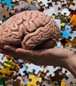 Een scherp brein begint vandaag