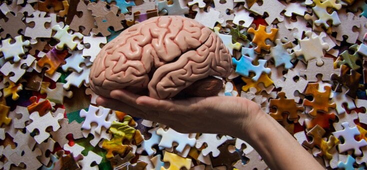 Een scherp brein begint vandaag